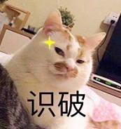 DƬ